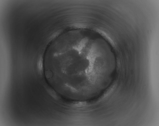 X0000102810398200808251113