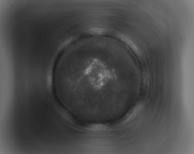 X0000102810399200808251113