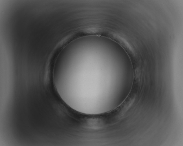 X0000102810400200808251113