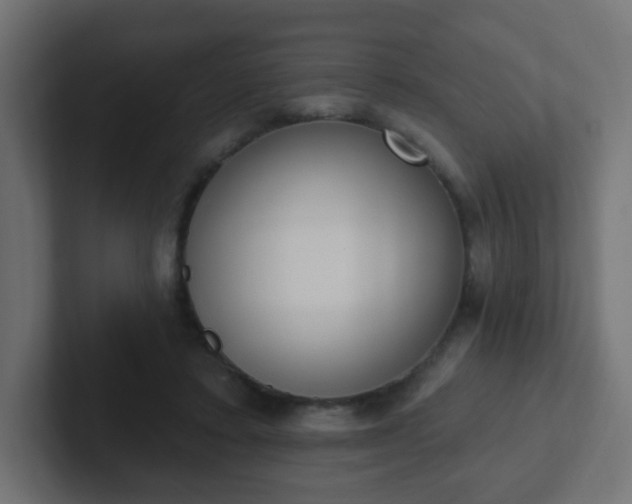 X0000102810403200808251113