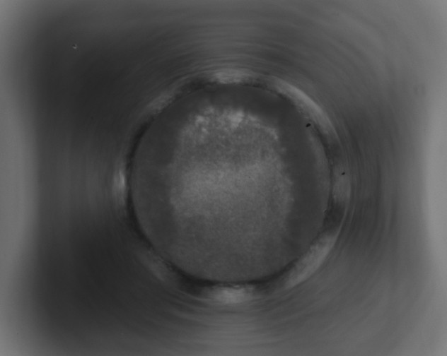 X0000102810405200808251113