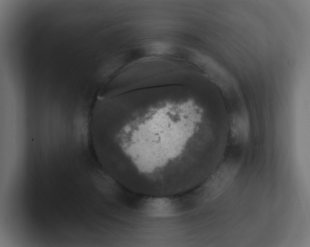 X0000102810409200808251113