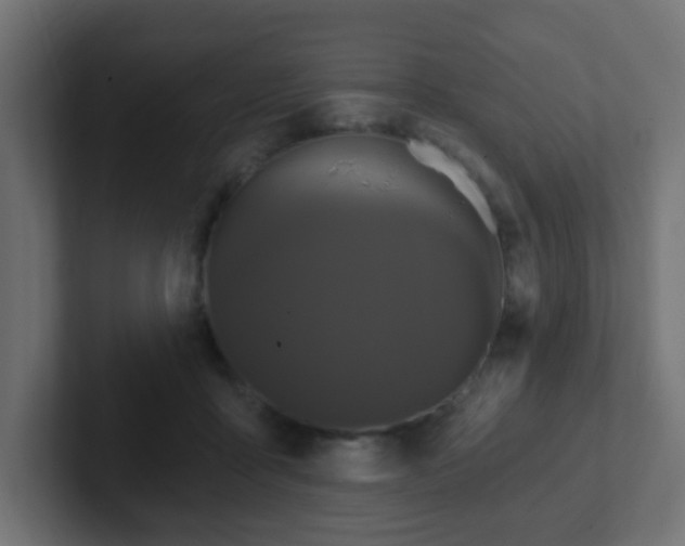 X0000102810411200808251113