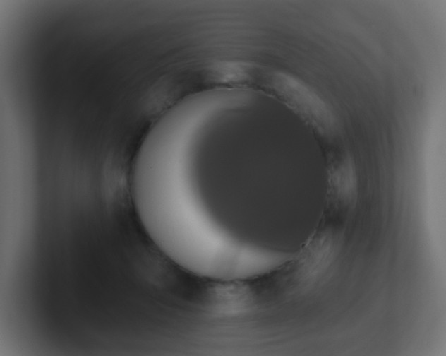 X0000102810415200808251113