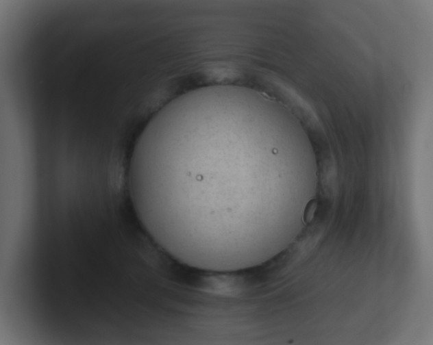 X0000102810417200808251113