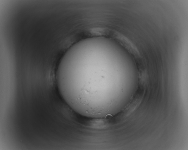 X0000102810418200808251113