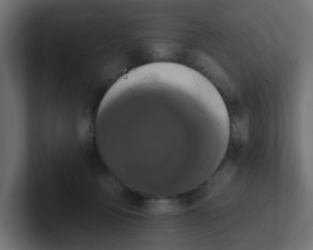 X0000102810419200808251113