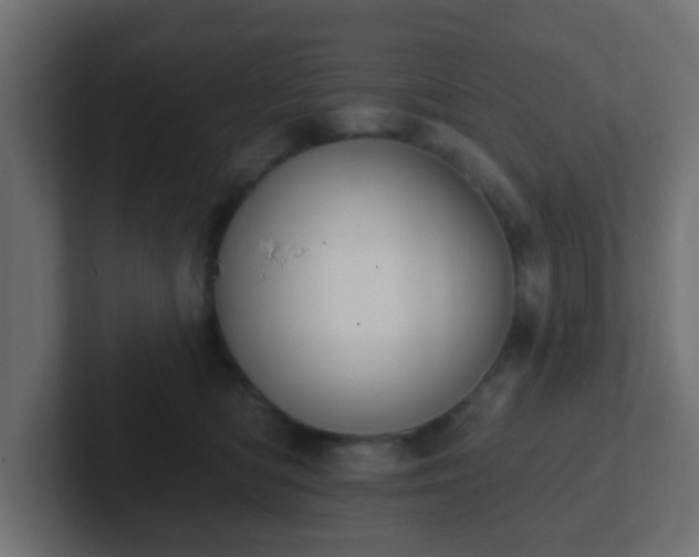 X0000102810422200808251113