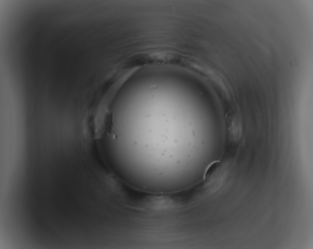 X0000102810424200808251113