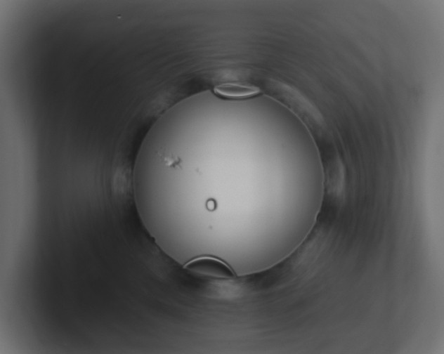 X0000102810425200808251113