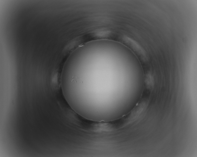 X0000102810428200808251113