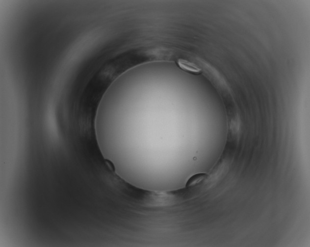 X0000102810429200808251113