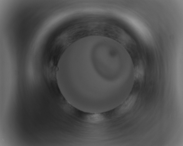 X0000102810431200808251113