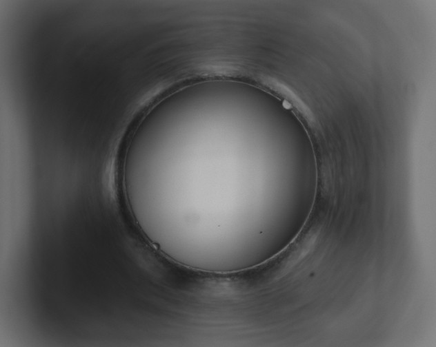 X0000102810439200808251113