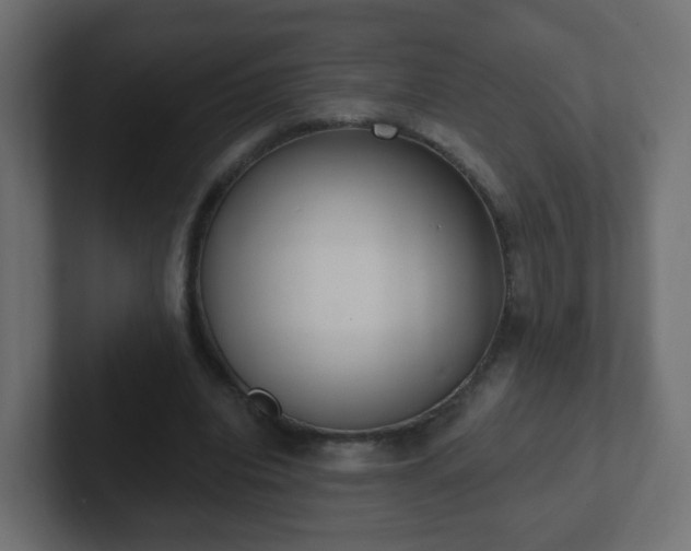 X0000102810440200808251113