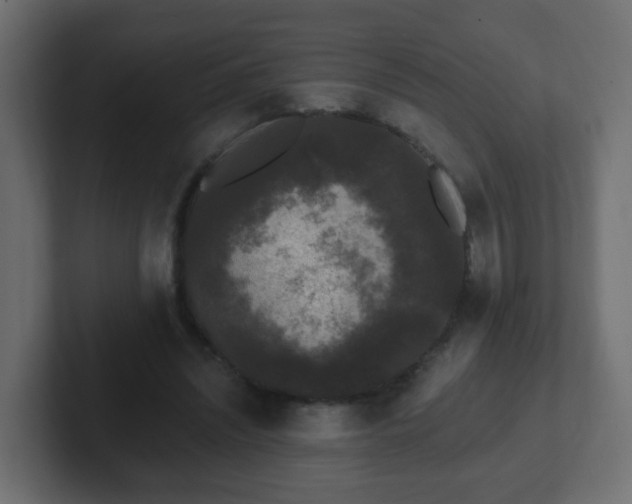 X0000102810444200808251113