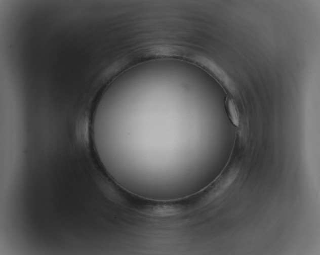 X0000102810445200808251113