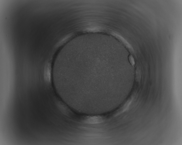 X0000102810446200808251113