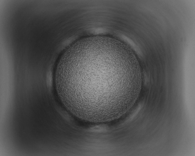 X0000102810447200808251113