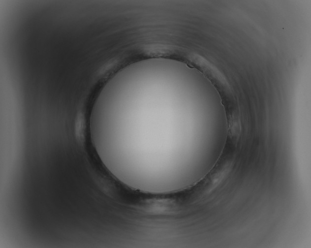 X0000102810448200808251113