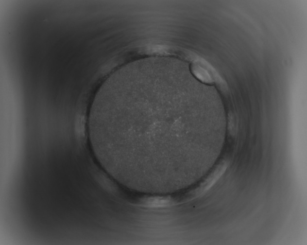 X0000102810449200808251113