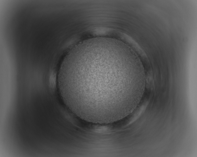 X0000102810454200808251113