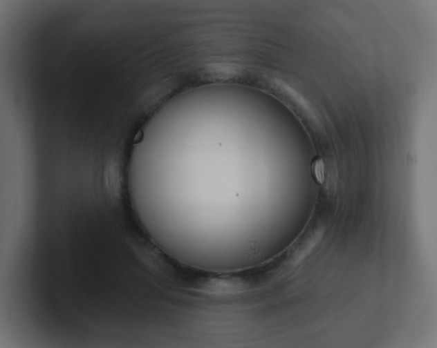 X0000102810455200808251113