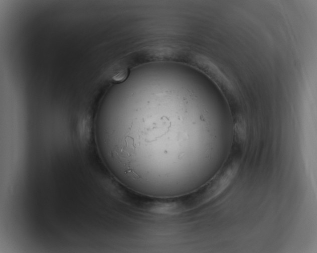 X0000102810458200808251113