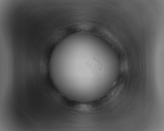 X0000102810464200808251113