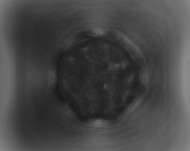 X0000102810467200808251113