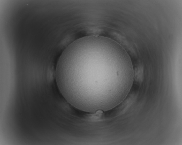 X0000102810474200808251113