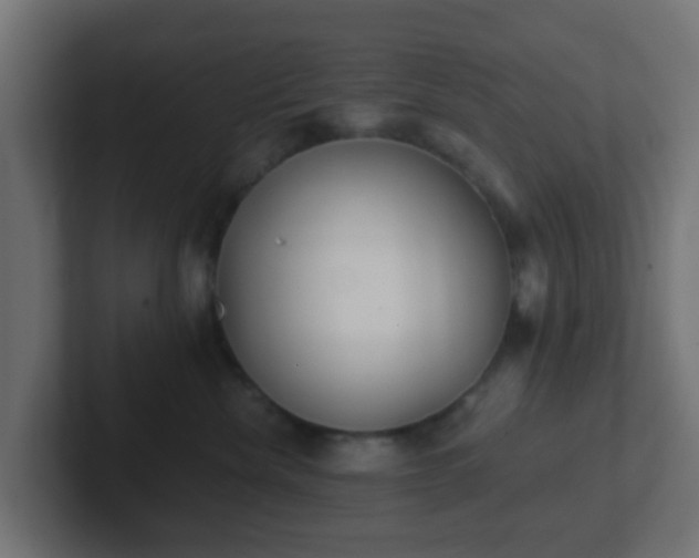 X0000102810476200808251113