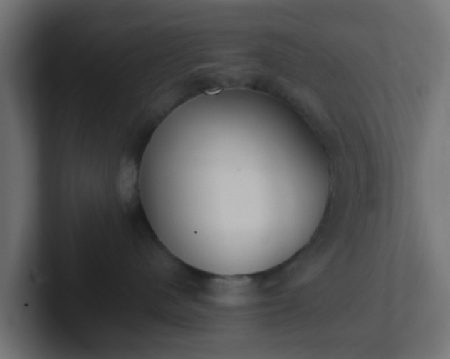 X0000102810480200808251113