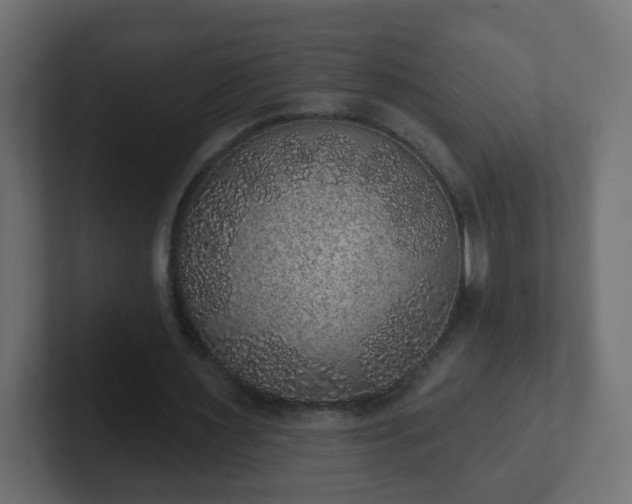 X0000102810483200808251112