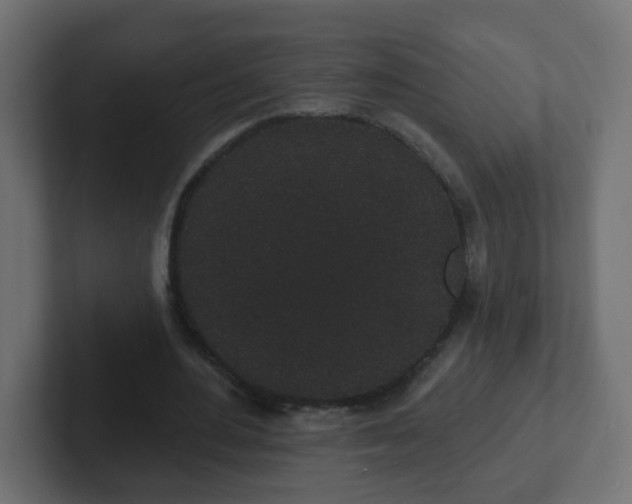 X0000102810484200808251112