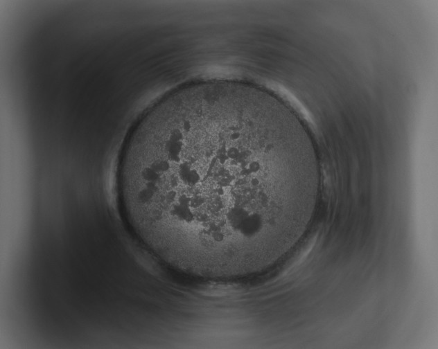 X0000102810487200808251112