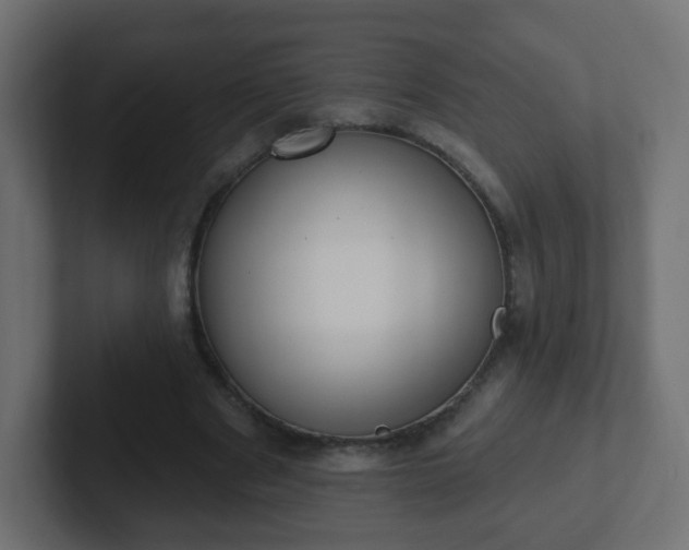 X0000102810489200808251112