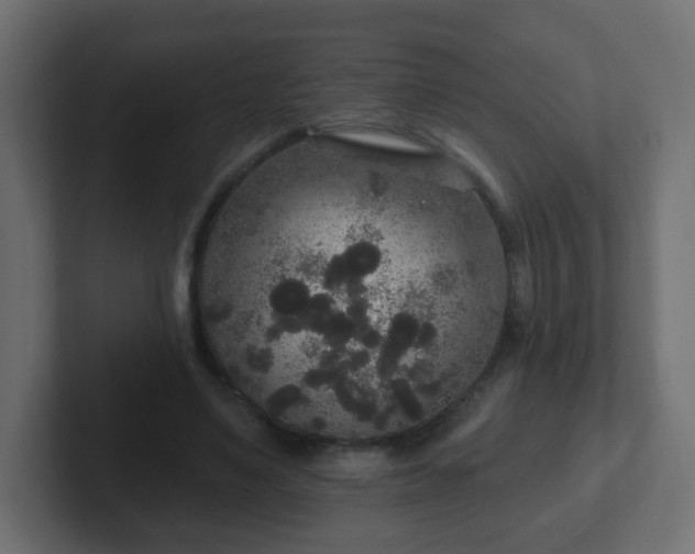 X0000102810491200808251112