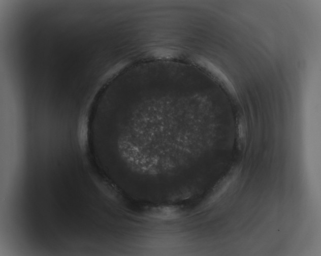 X0000102810492200808251112