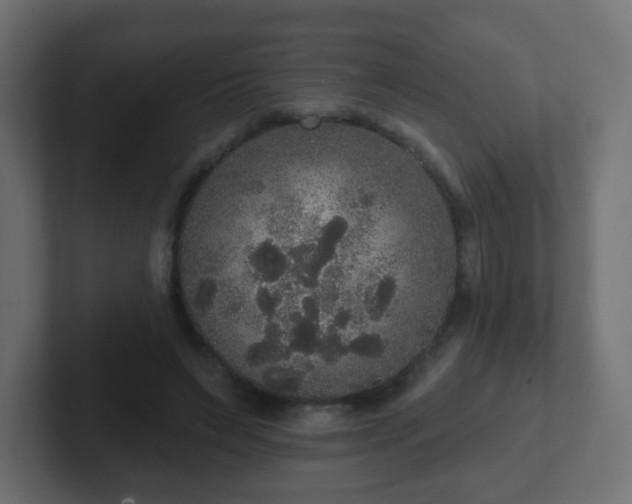 X0000102810495200808251112