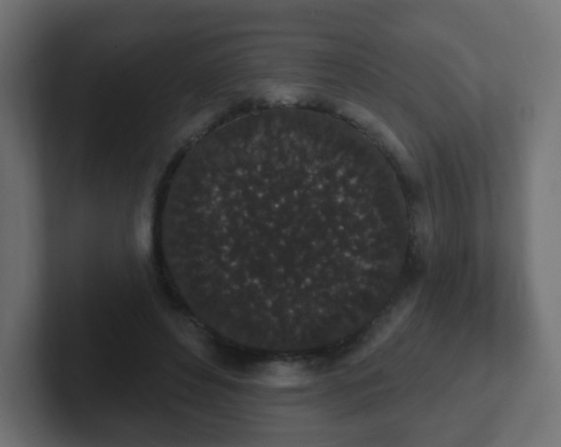 X0000102810496200808251112