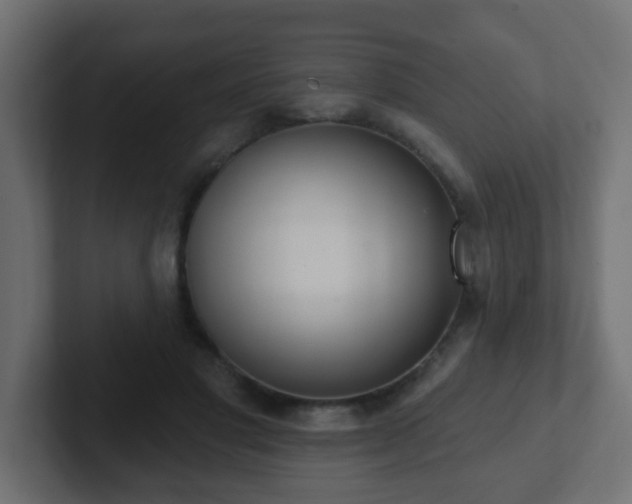 X0000102810501200808251112