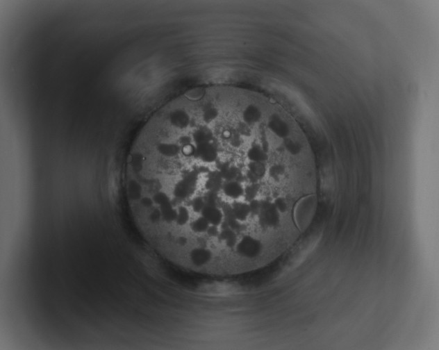 X0000102810503200808251112