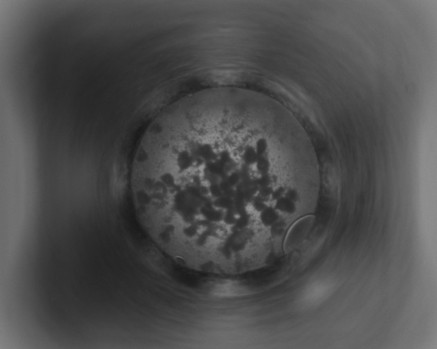 X0000102810507200808251112