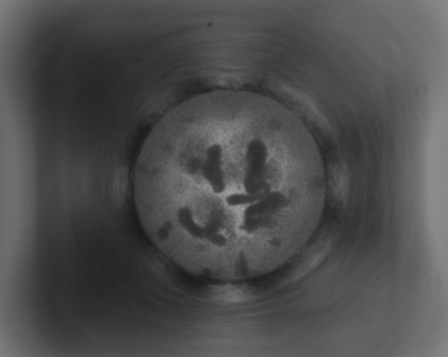 X0000102810511200808251112