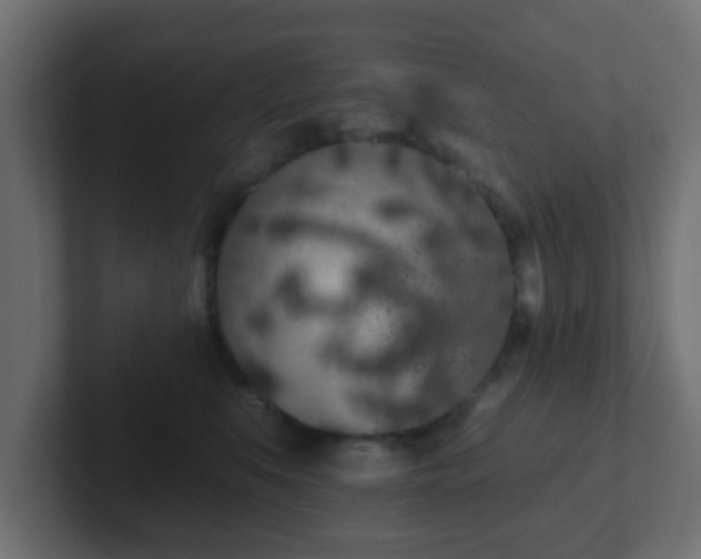 X0000102810519200808251112