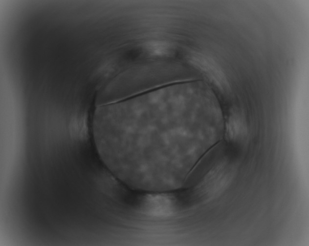 X0000102810520200808251112