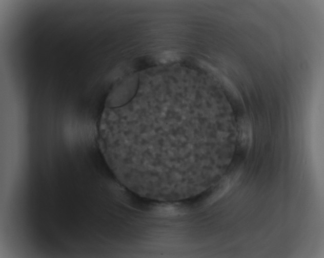 X0000102810523200808251112