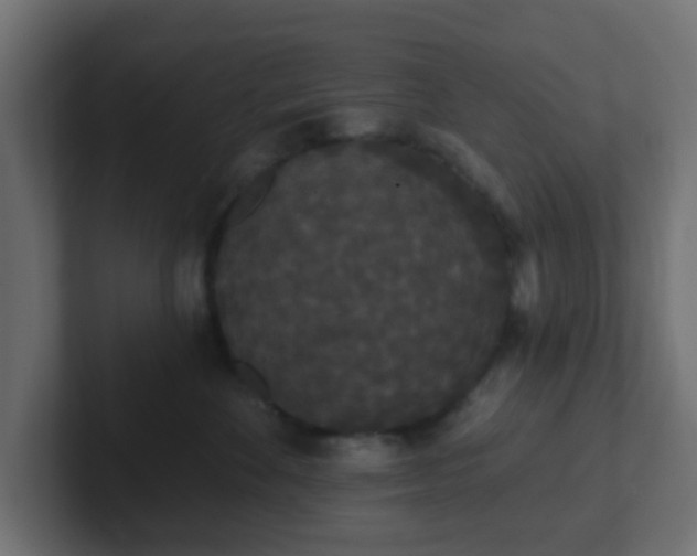 X0000102810524200808251112