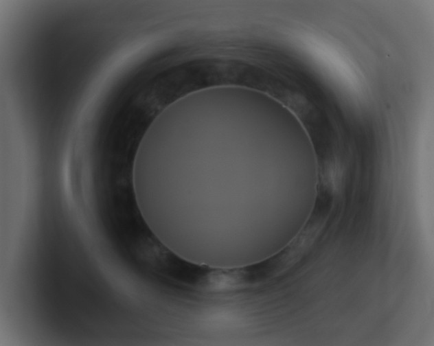 X0000102810526200808251112